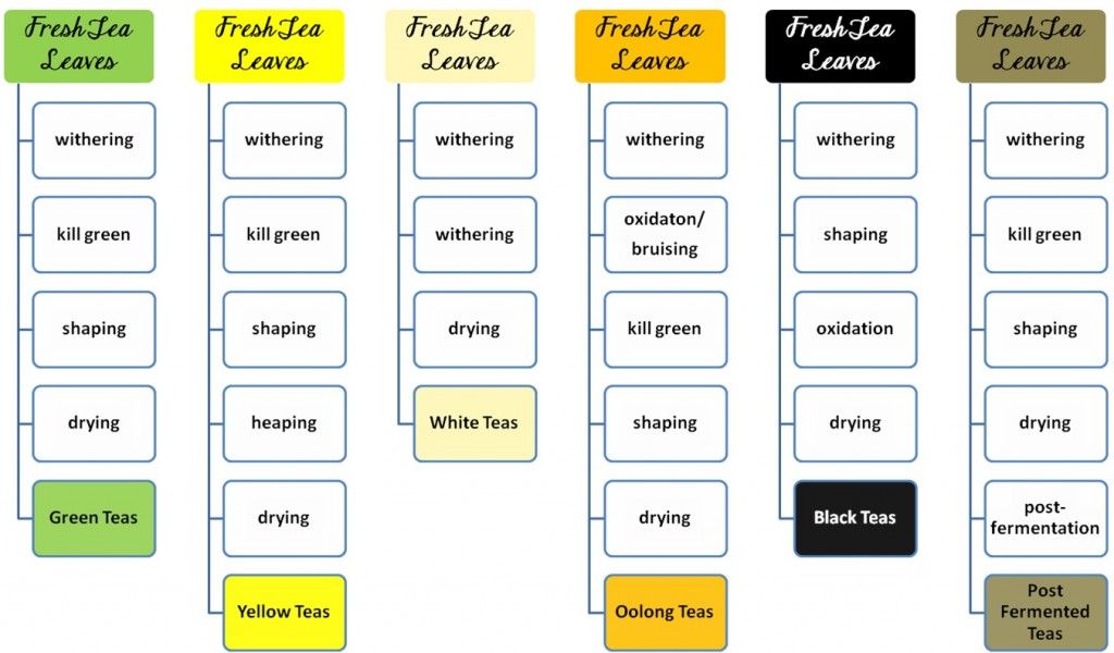 simple tea processing chart from The Tea Catcher