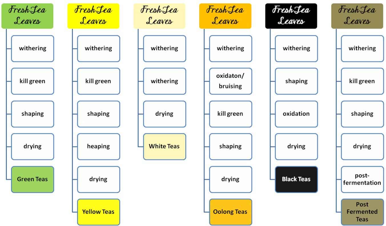 Herbal Tea Chart